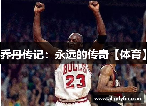 乔丹传记：永远的传奇【体育】
